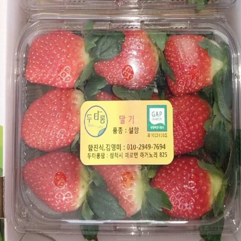 두타롱,[1~2월 한정] 두타롱 딸기 500g/ 1kg(삼척산 딸기, GAP인증)